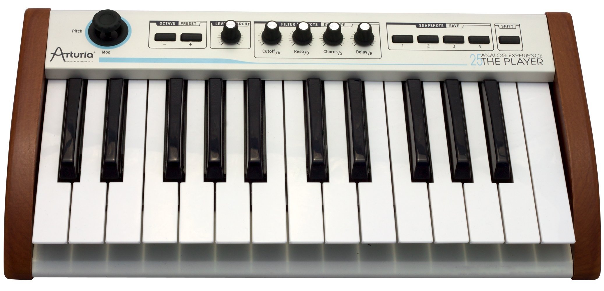 ARTURIA Analog Experience 25