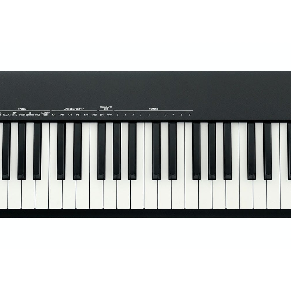 Midi-клавиатуры Roland A-88MKII